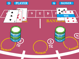 live casino