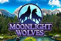 Moonlight Dragon Forest