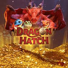 spin Dragon Hatch