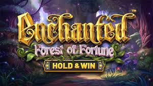 Enchanted Forest