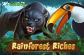 Rainforest Riches